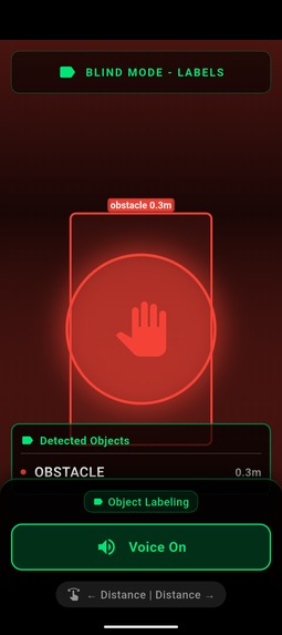The Right Direction – screenshot 5