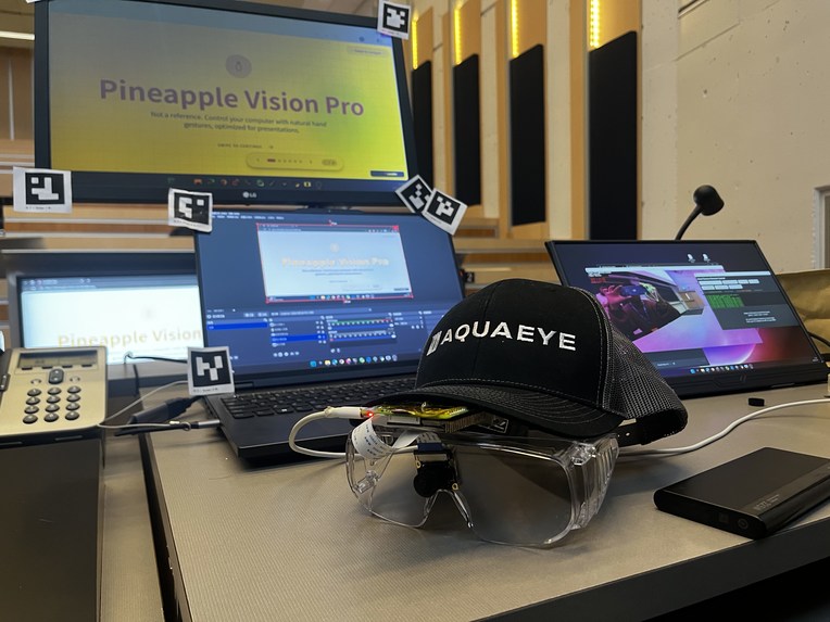 Pineapple Vision Pro – screenshot 1