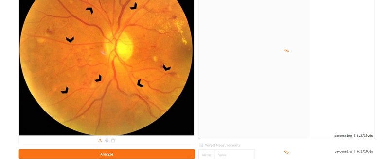 Retina-Vessel-AI-Analyzer – screenshot 3