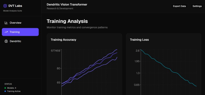 Dendritic Vision Transformer – screenshot 2