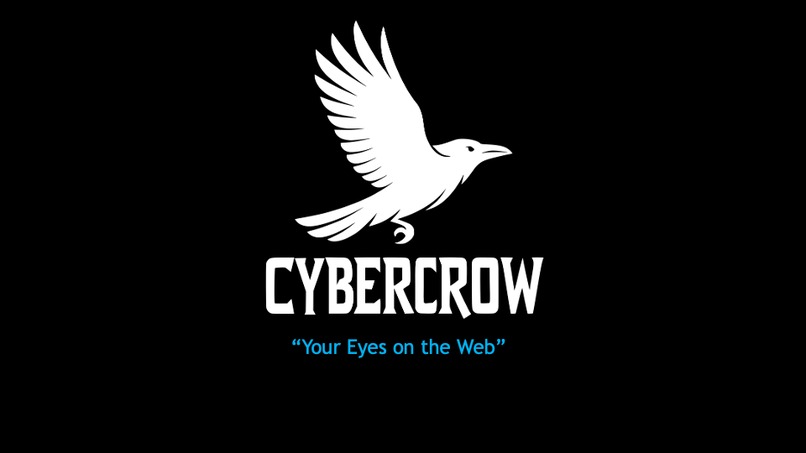 CyberCrow - YOUR EYES ON THE WEB – screenshot 14