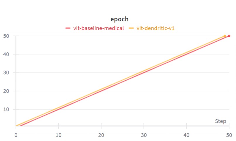 Dendri-Vit – screenshot 3
