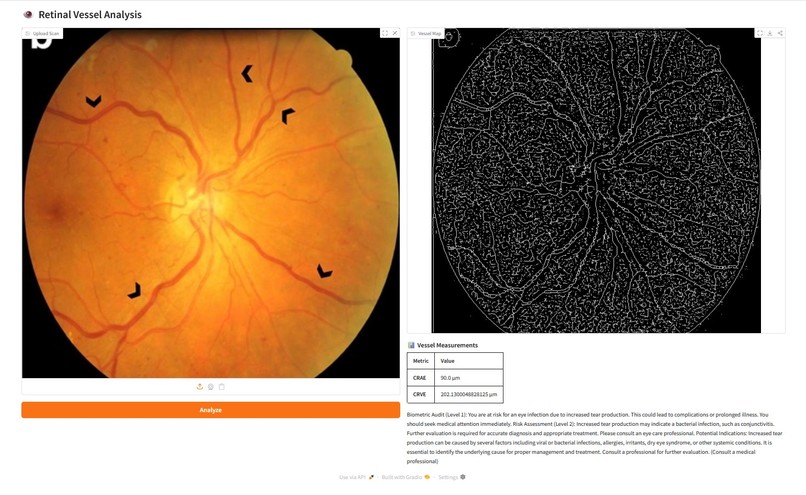Retina-Vessel-AI-Analyzer – screenshot 6