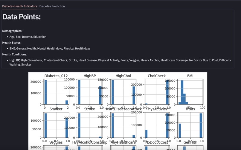 Dynamic Diabetes Prediction – screenshot 2