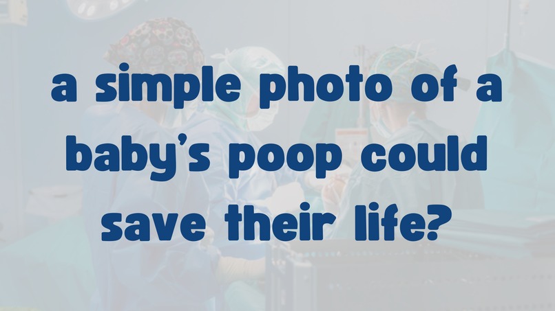 NinaOS – screenshot 1