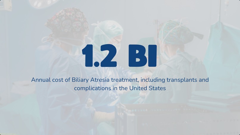 NinaOS – screenshot 2