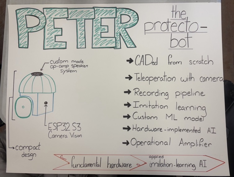 PETER the ProtectoBot  – screenshot 2