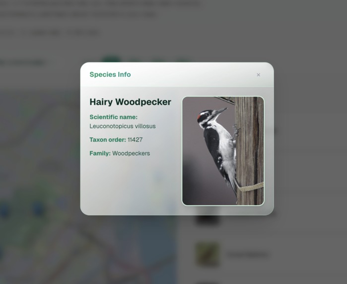 FindMyBird – screenshot 3