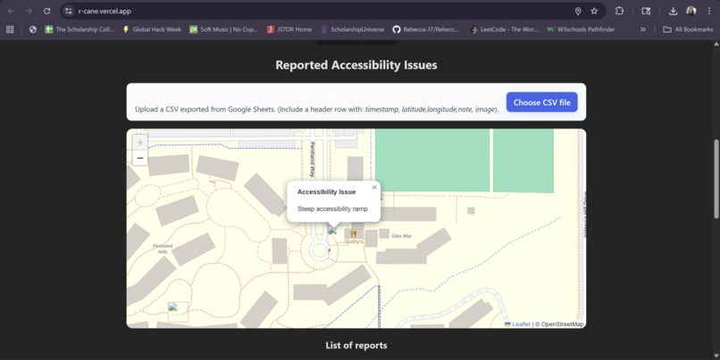 R'Cane + R'Accessible – screenshot 2