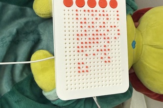 Blind phone
