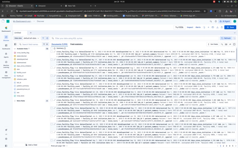 EID/VL Duplicate Detection Agent – screenshot 11
