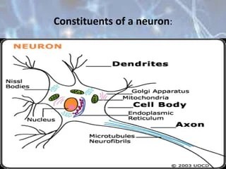 ZenButler – screenshot 1