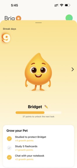 Brigo – AI Exam Coach – screenshot 7