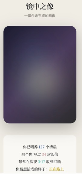 MirrorEcho – screenshot 4