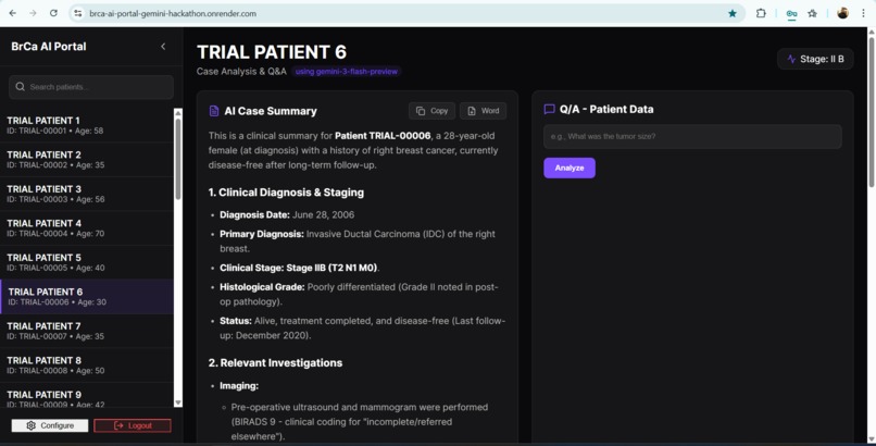 Breast Cancer AI Portal – screenshot 2
