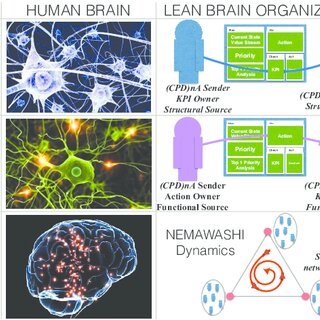 Nexus Dendrite: AI Medical Intelligence – screenshot 1