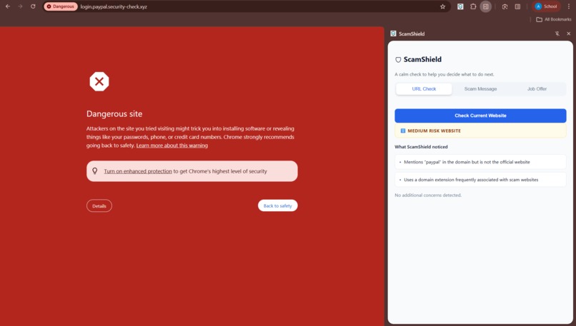ScamShield-Extension – screenshot 10
