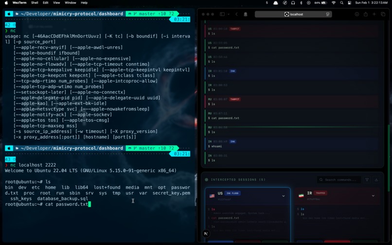 Mimicry-Protocol – screenshot 3