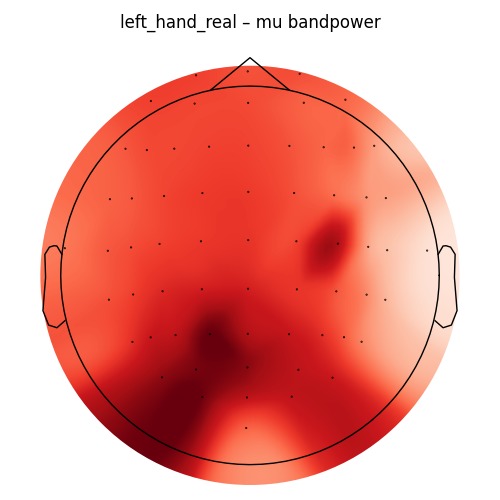 NeuroTrack: Decoding Limb Movements from EEG – screenshot 5