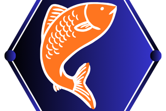 Salmon Race