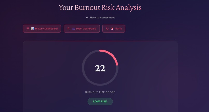Burnout Risk Analyser – screenshot 1