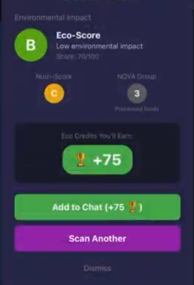 EcoRoute AI – screenshot 2