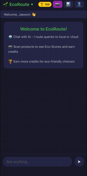 EcoRoute AI – screenshot 3