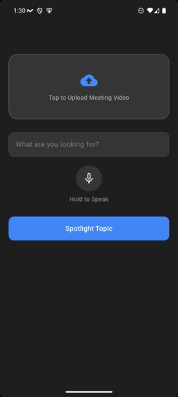 Meeting Spotlight – screenshot 2