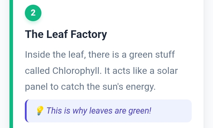 Explainly – screenshot 6