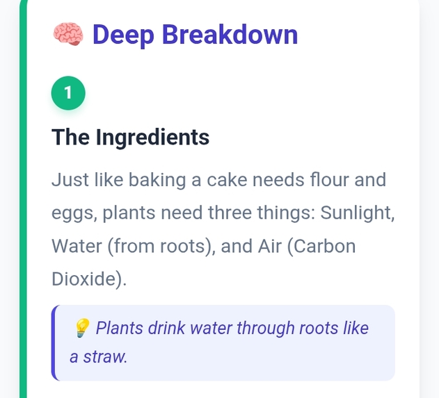 Explainly – screenshot 5