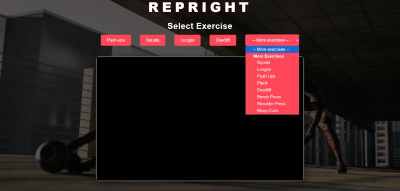 REPRIGHT – screenshot 1