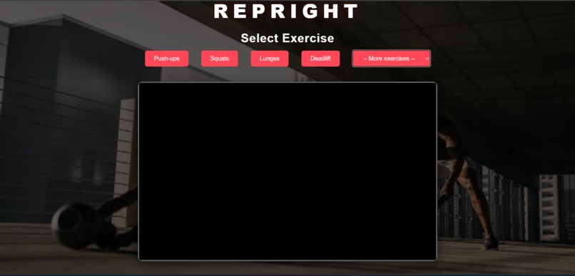 REPRIGHT – screenshot 2