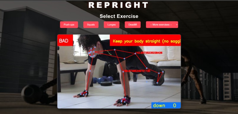 REPRIGHT – screenshot 5
