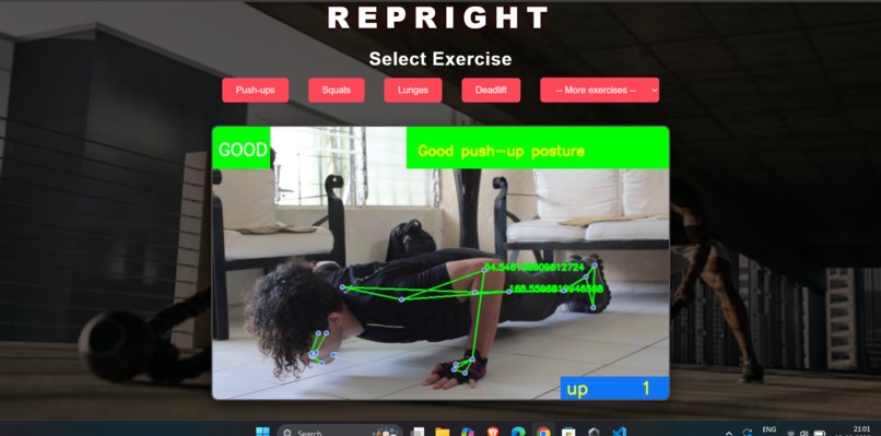 REPRIGHT – screenshot 6