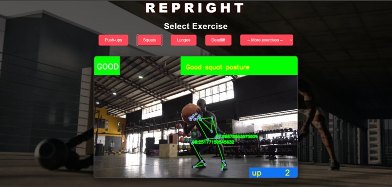 REPRIGHT – screenshot 8