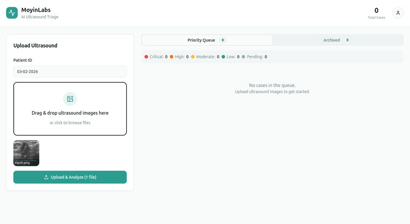AI Cancer Triage System – screenshot 1