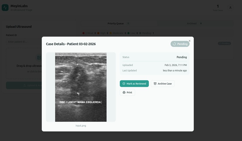 AI Cancer Triage System – screenshot 3