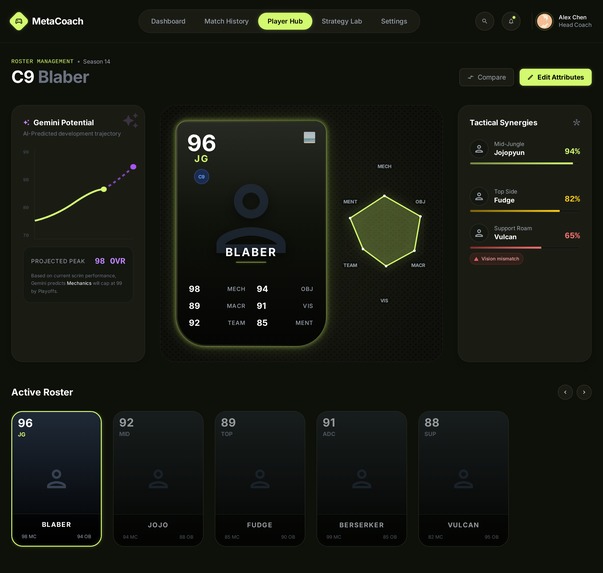 MetaCoach – screenshot 5