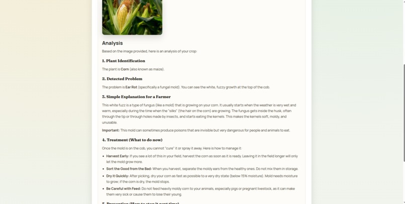 AgroGuard AI – Plant Disease Detection with Gemini 3 – screenshot 2