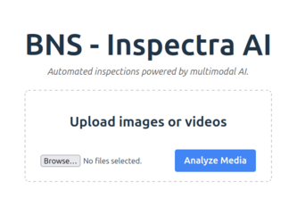 BNS - Inspectra AI