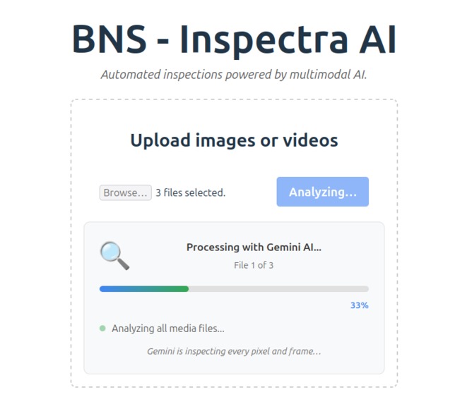 BNS - Inspectra AI – screenshot 2