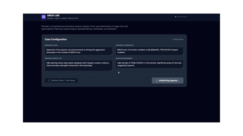 Application of Gemini 3 in Biomedical Research Acceleration – screenshot 4