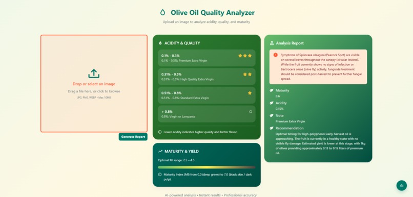 Olivision (زيتونك) – screenshot 3