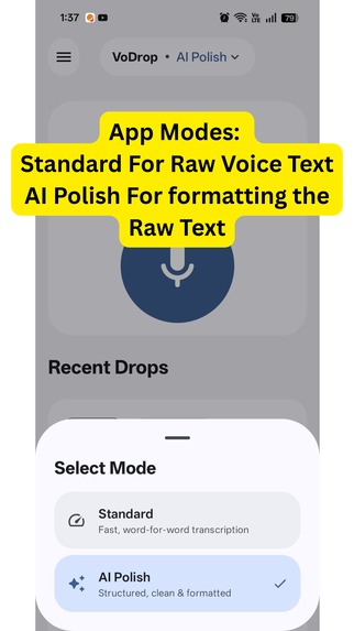 VoDrop: Drop Your Voice, Get Perfect Text – screenshot 2