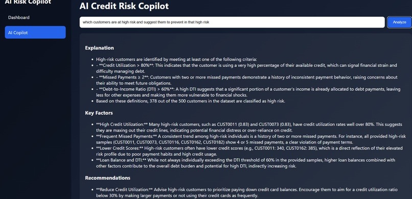 AI CREDIT RISK CO-PILOT  – screenshot 3