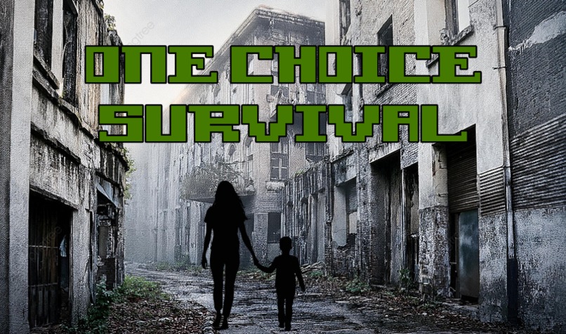 One Choice Survival – screenshot 1