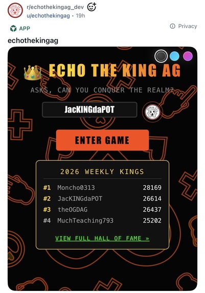 ECHO THE KING AG – screenshot 3