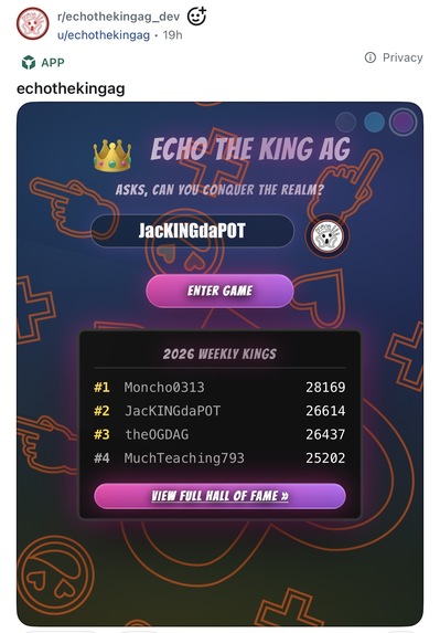 ECHO THE KING AG – screenshot 4