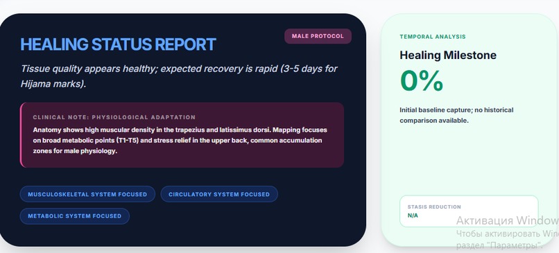HacamaTech – screenshot 11