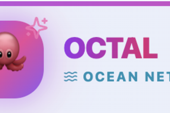 Octal Ocean-Network